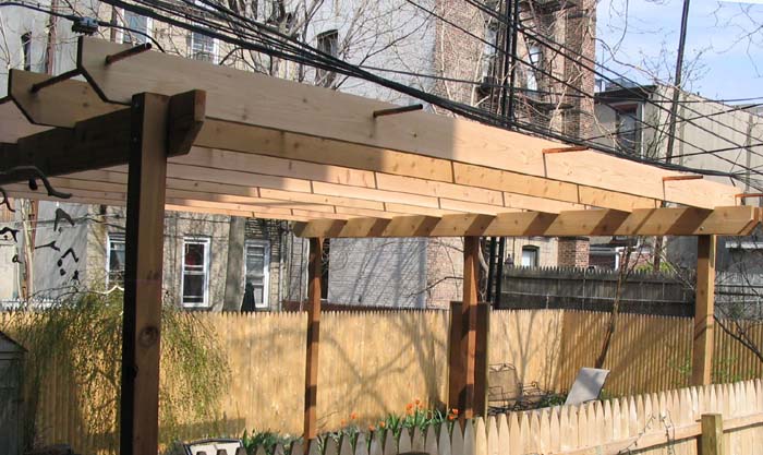 cedar pergola...carroll gardens, brooklyn